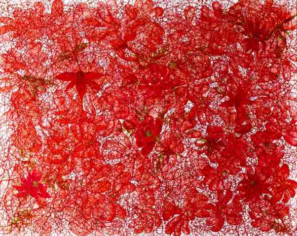 Layers of Blessings2-small